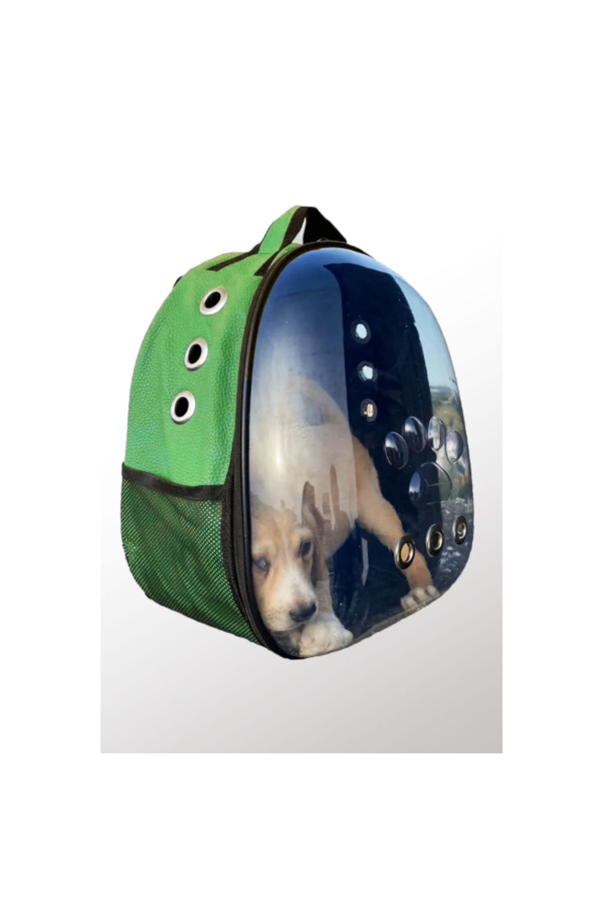 S PAZARIM Deri Astronot Kedi Ve Köpek Taşıma Çantası Yeşil Renk