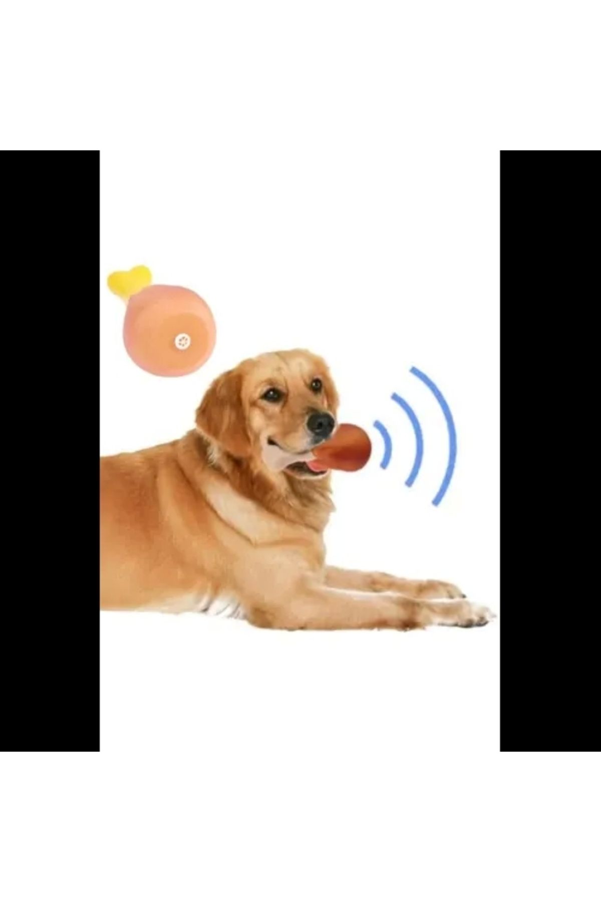 ShopNova Köpekler İçin Sesli Oyuncak Tavuk Butu