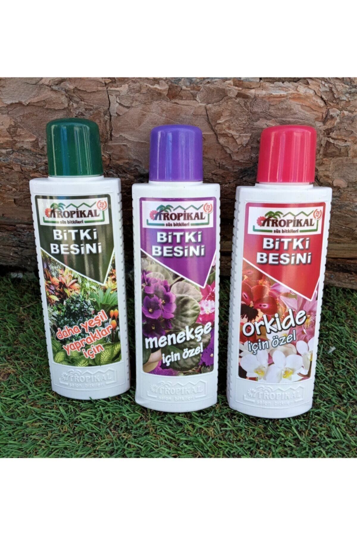 TROPİKAL Bitki Besini 3'lü Set Menekşe Besini Orkide Besini Yeşil Yapraklı Bitki Besini Gübre Bitki Vitamini