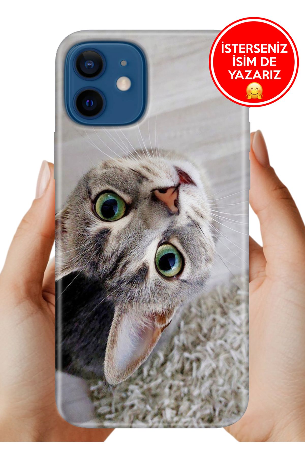 Cekuonline iPhone 12 Kılıf Desenli Baskılı Kamera Korumalı ZRR Silikon Evdedi Kedi