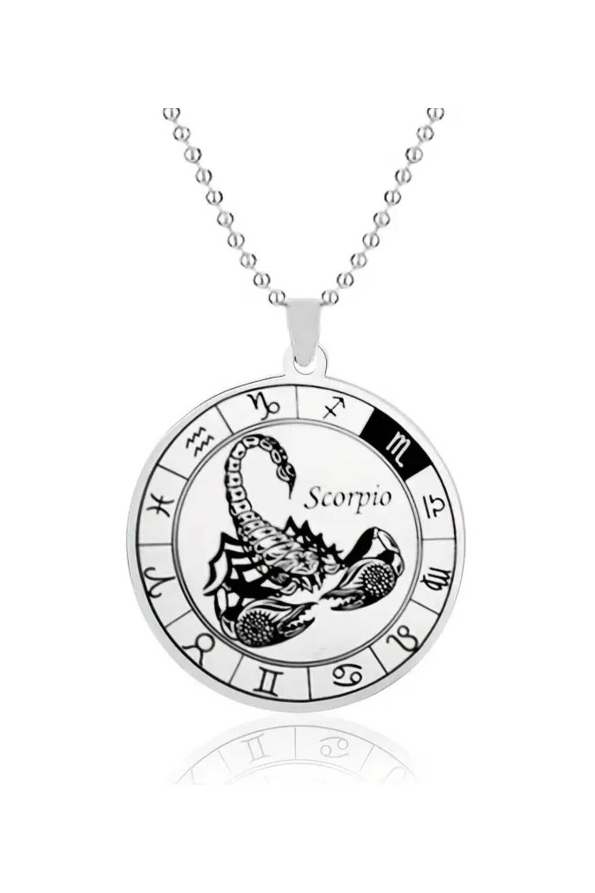 sarıyer silver Akrep Burç Tasarım 12 Burç İşlemeli Daire Model Astroloji Ve Burçlar Temalı Çelik Kolye