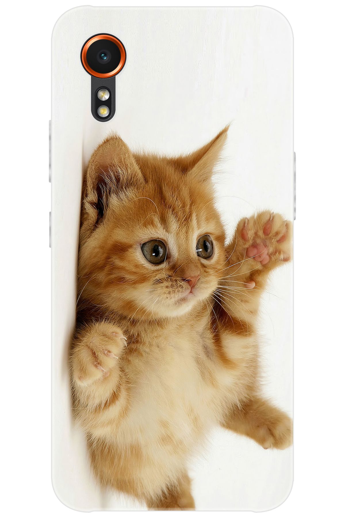 Ceppare Samsung Galaxy XCover7 (SM-G556B) Uyumlu Kılıf Desen Baskılı Silikon Sevimli Kedi STK:205 CP-wJxZ0vB