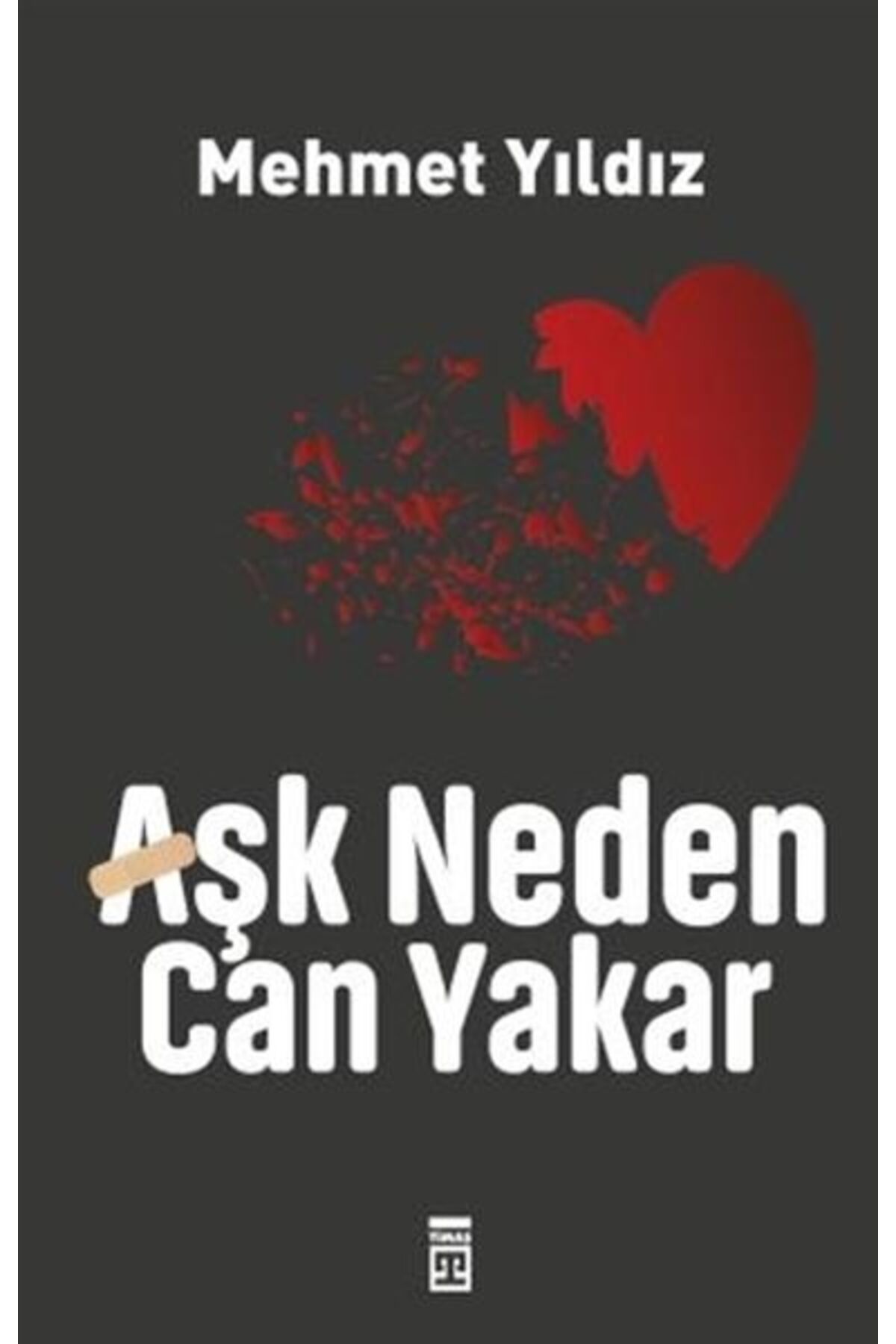 Destek Yayınları Aşk Neden Can Yakar