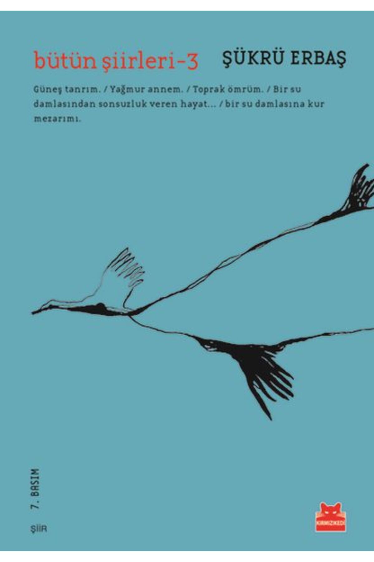 Destek Yayınları Bütün Şiirleri 3