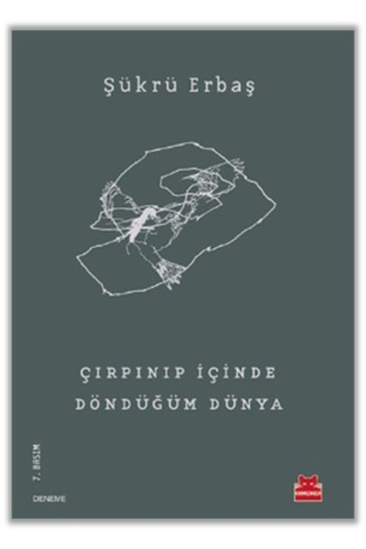 Destek Yayınları Çırpınıp İçinde Döndüğüm Dünya