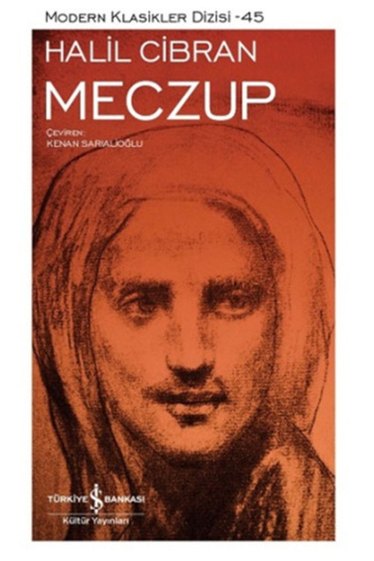 Destek Yayınları Meczup Modern Klasikler Dizisi