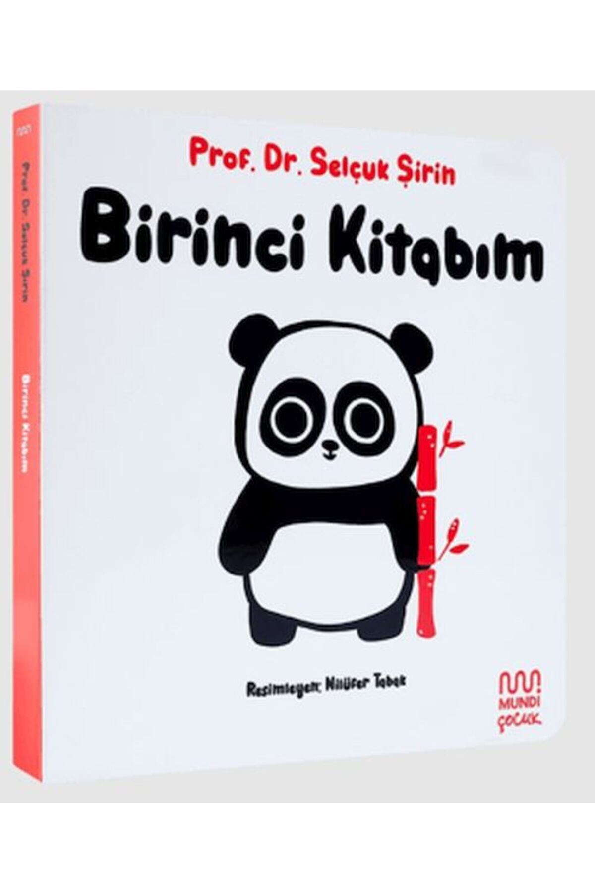Destek Yayınları Birinci Kitabım