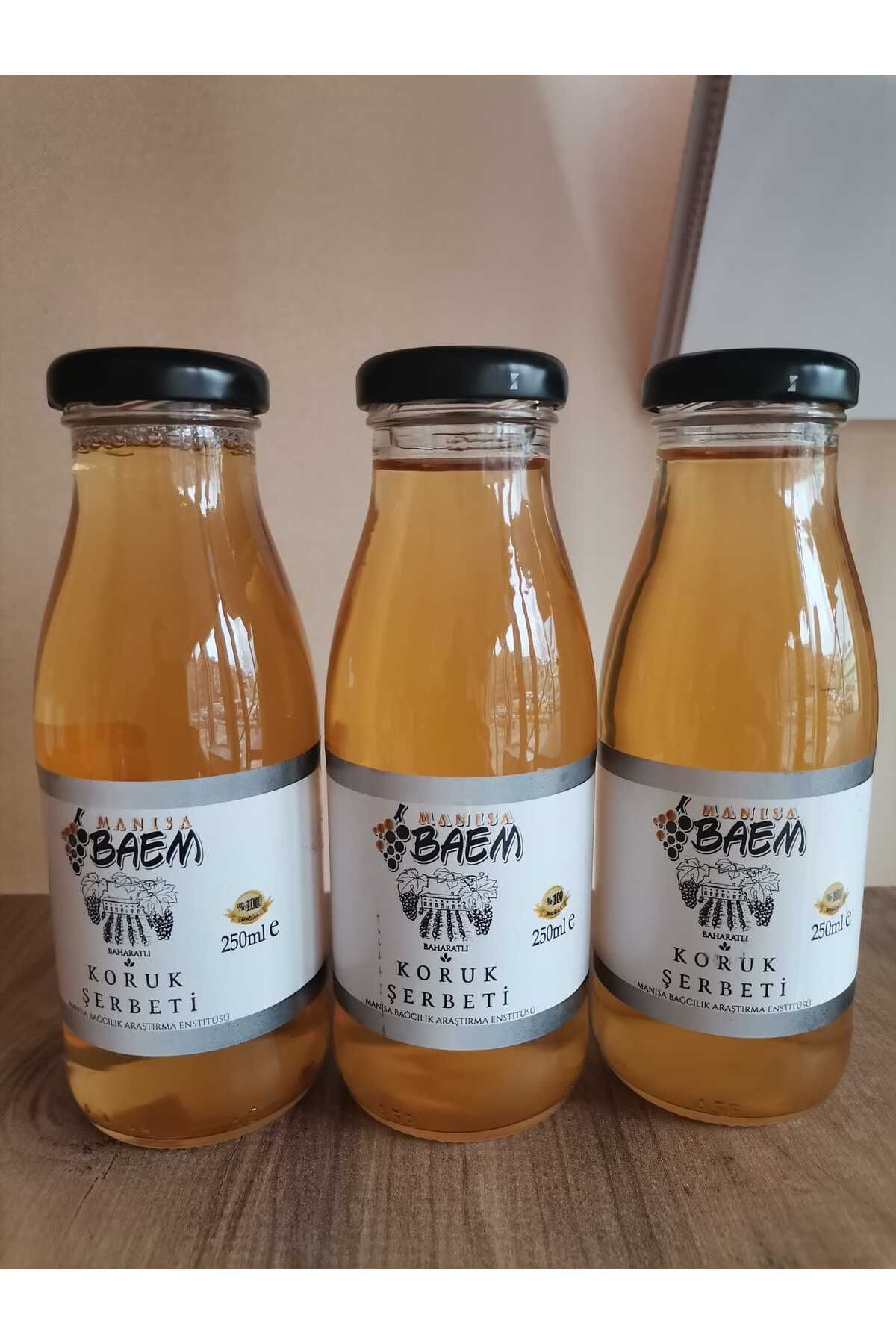 TAGEM BAHARATLI KORUK ŞERBETİ 250 ML.