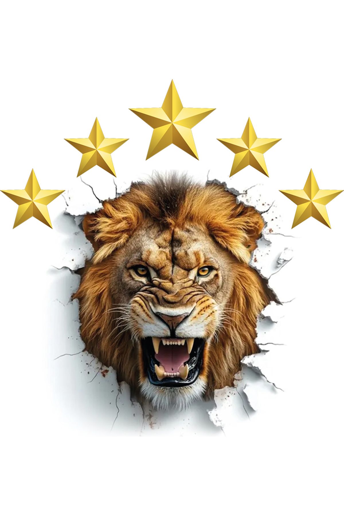 Dikkat Ajans 5.yıldız Özel -mod.6- Sticker (3 AD.)