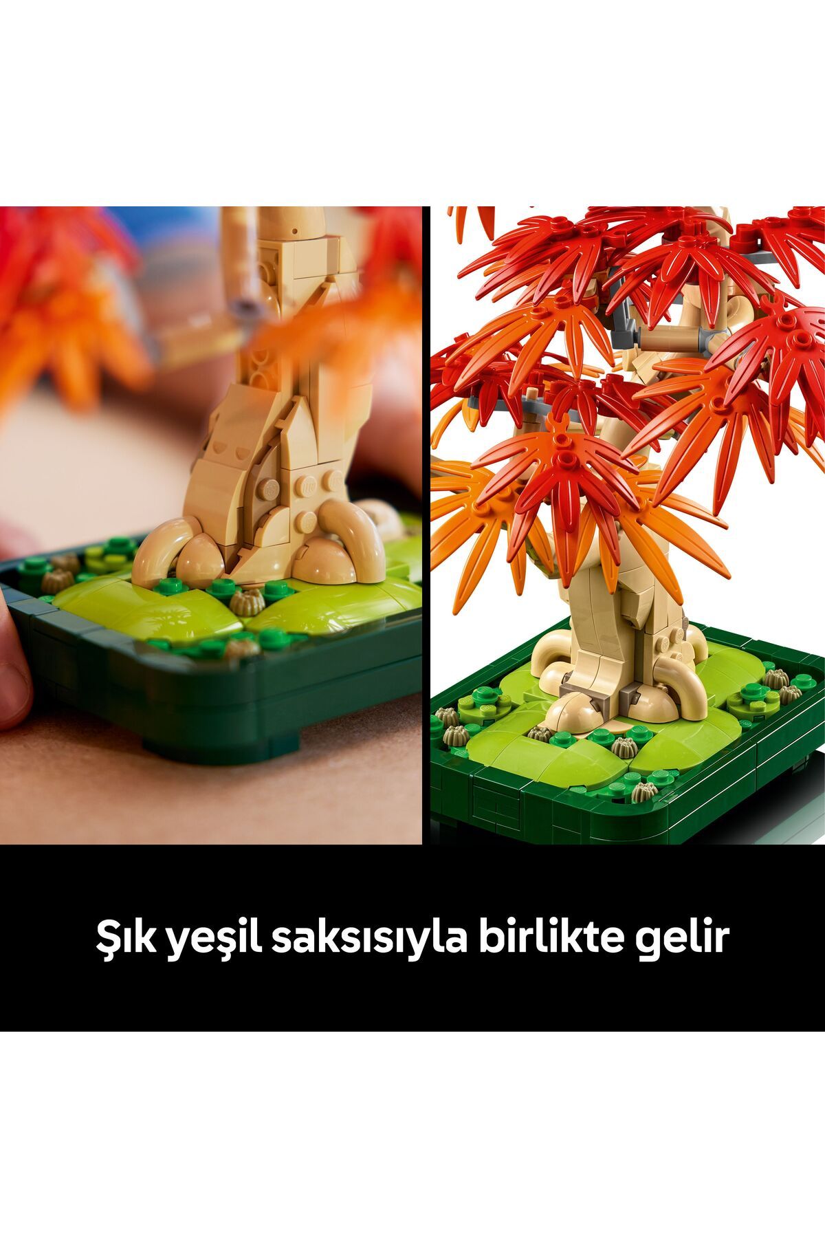 LEGO-®   Botanicals Japanese Red Maple Bonsai Tree 10348 - 18+ Decorative Model Building Set (474 Pr) 5