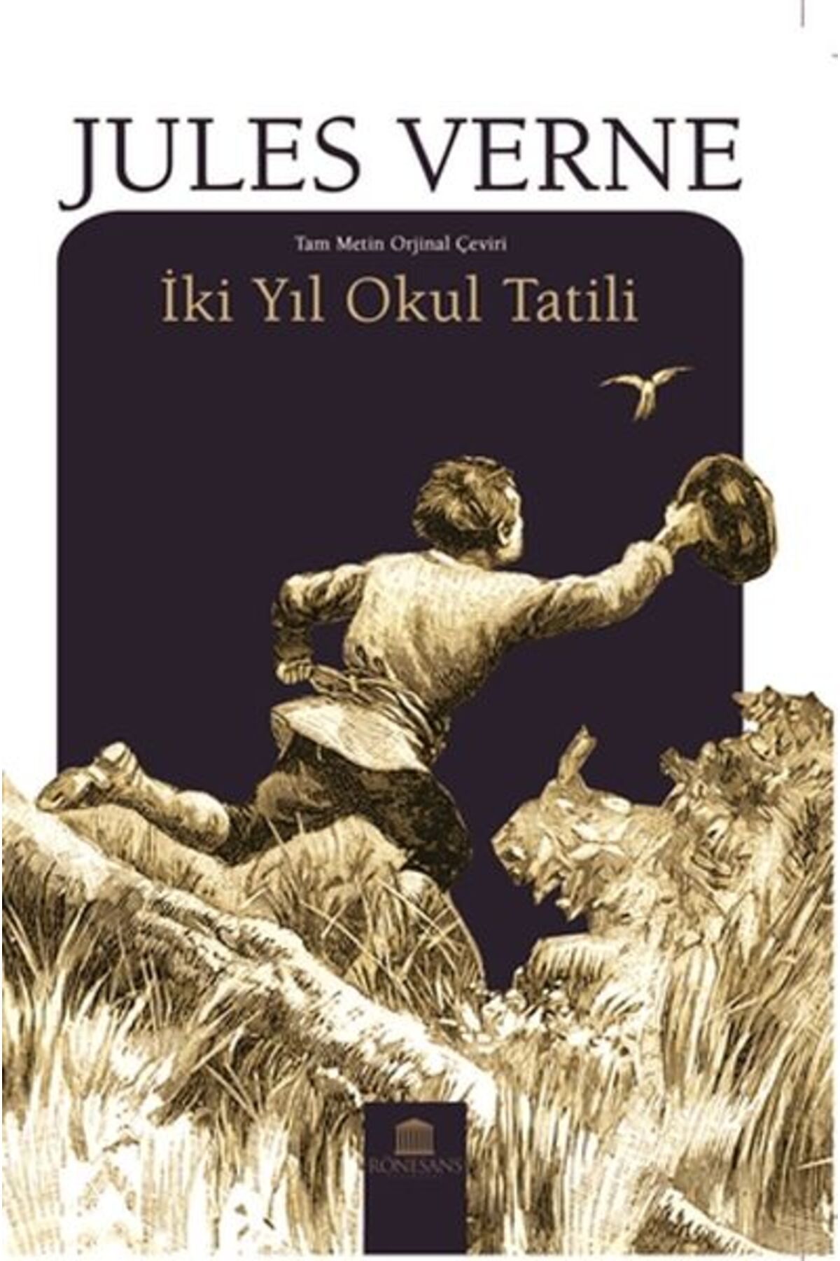 Rönesans Yayınları İki Yıl Okul Tatili