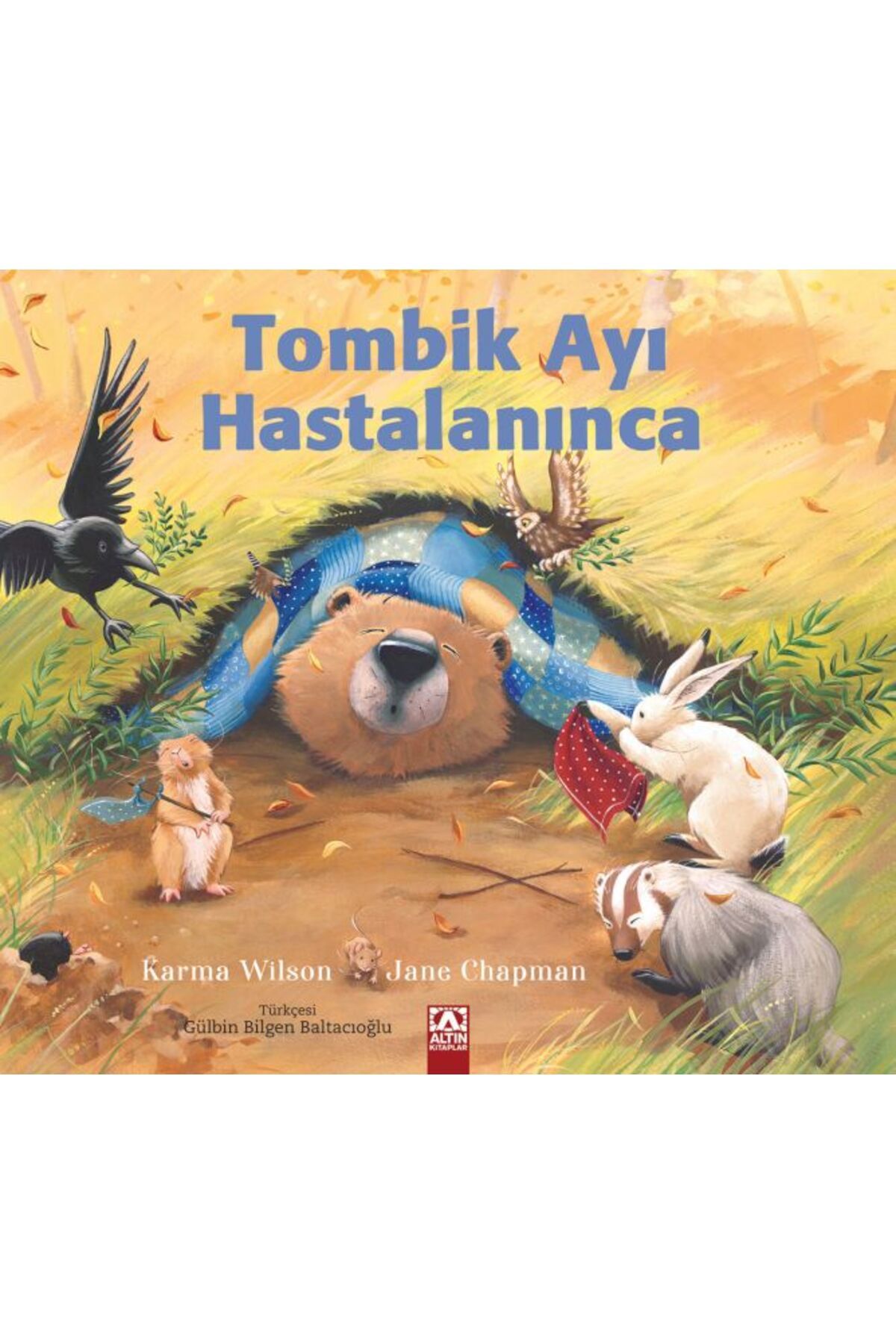 Destek Yayınları Tombik Ayı Hastalanınca
