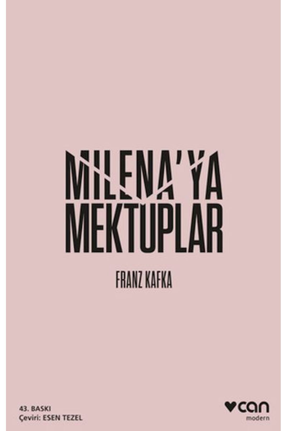Destek Yayınları Milenaya Mektuplar