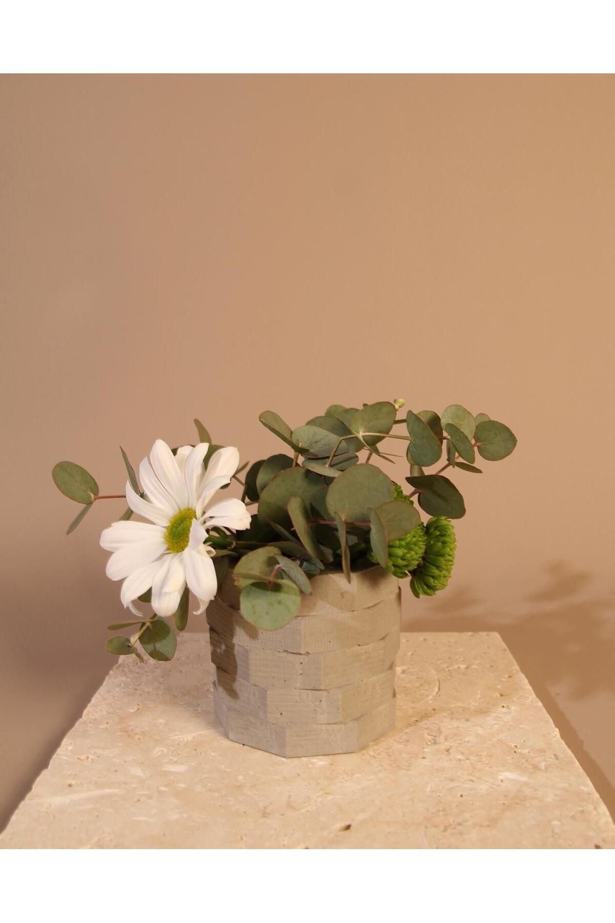 Lea Concept Natura Bloc Mini Beton Saksı Gri