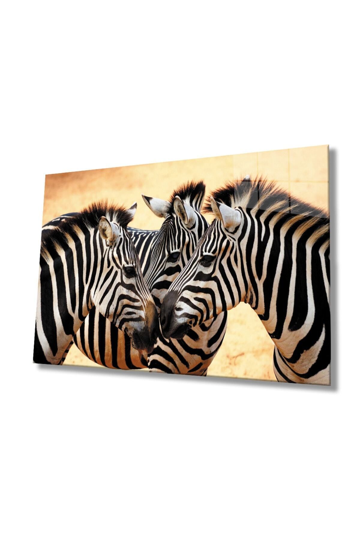 Evlika Zebra Hayvan Cam Tablo 4mm Dayanıklı Temperli Cam