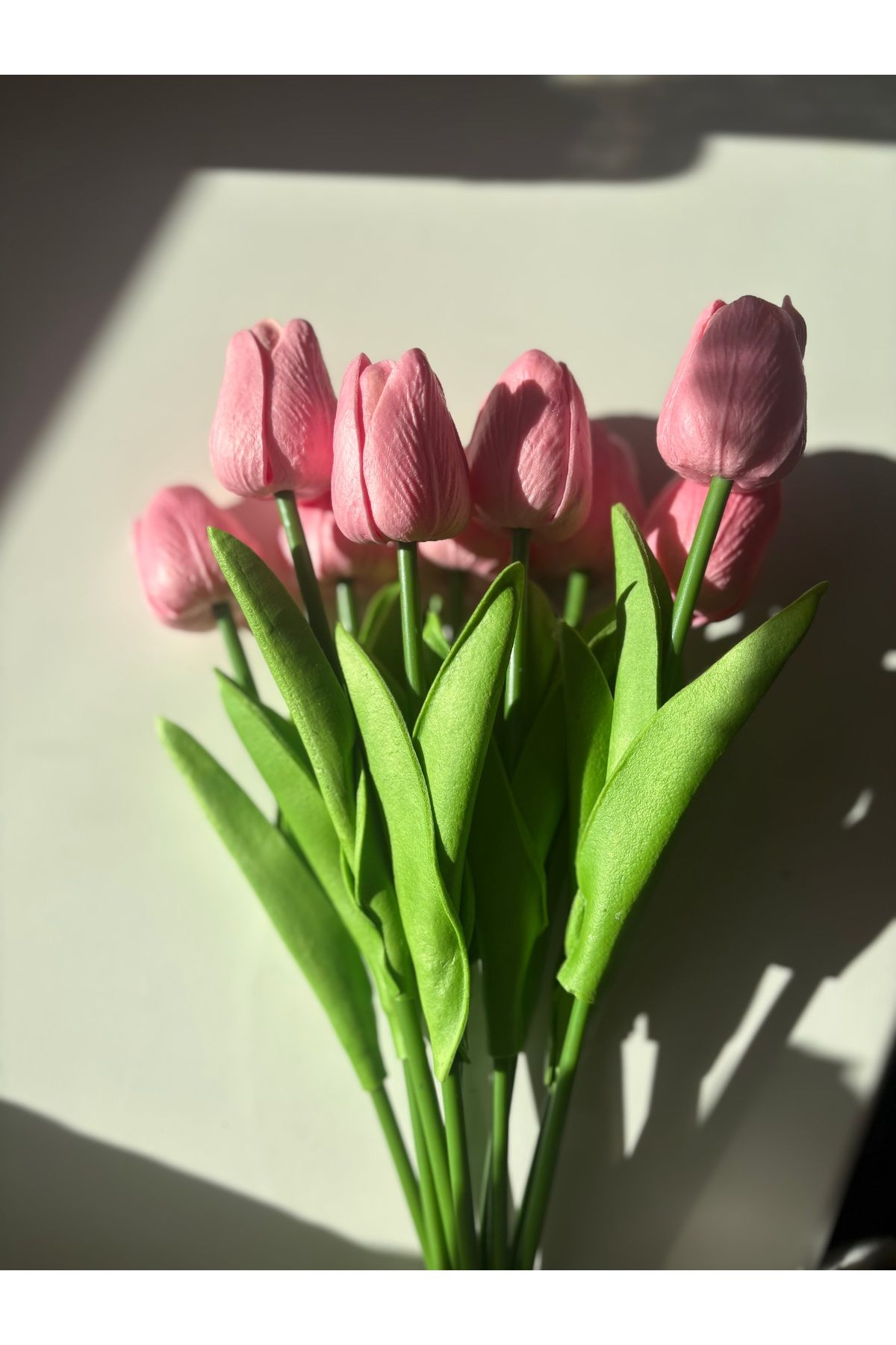 DEFORA 5 Adet Pembe Islak Lale 1. kalite