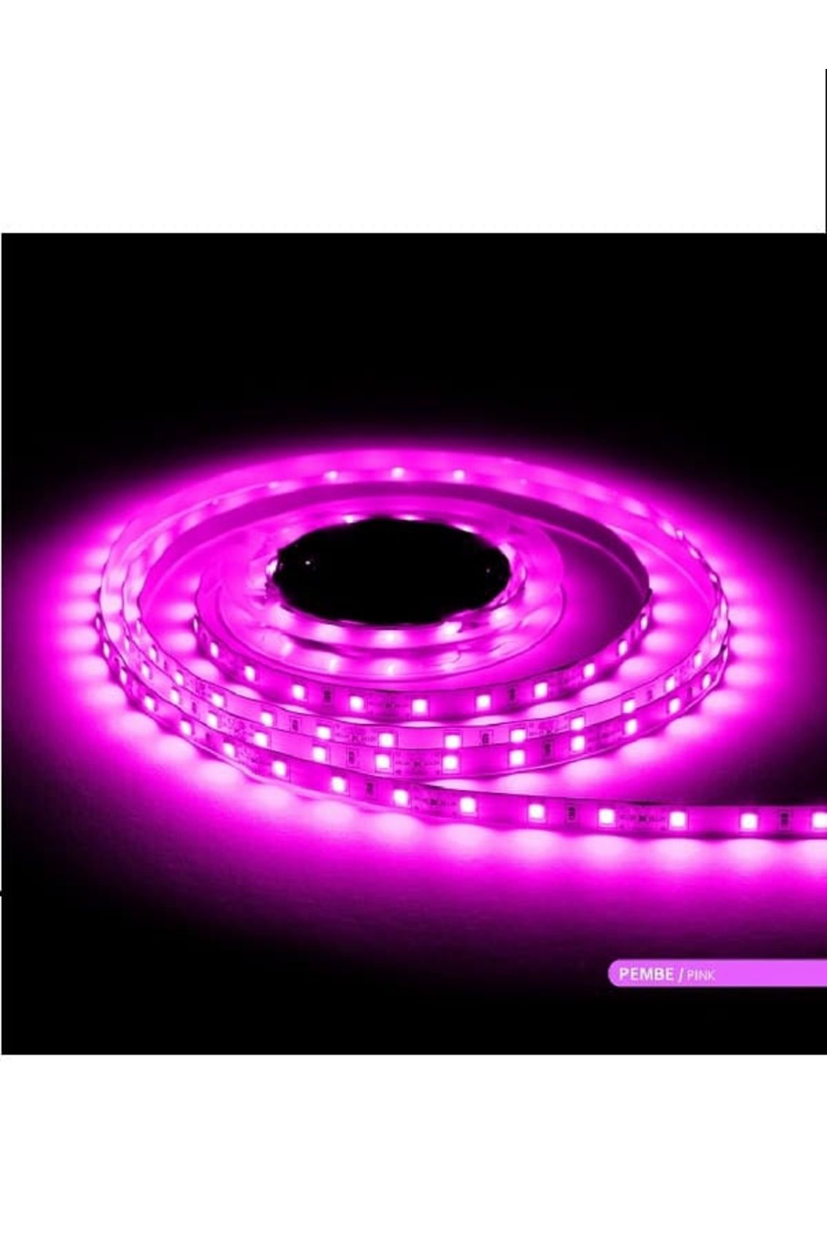 enparlak Pembe Şerit Led 10 Çipli İç Mekan 5 Metre