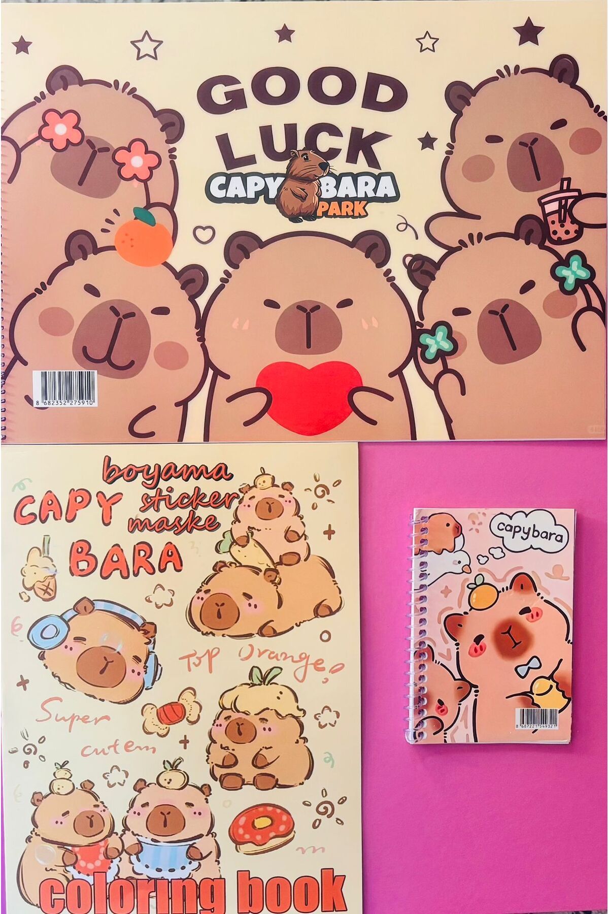 Deniz Oyuncak CAPYBARA SEVİMLİ AYICIK 25*35 RESİM DEFTERİ-ÖDEV DEFTERİ-BOYAMA KİTABI