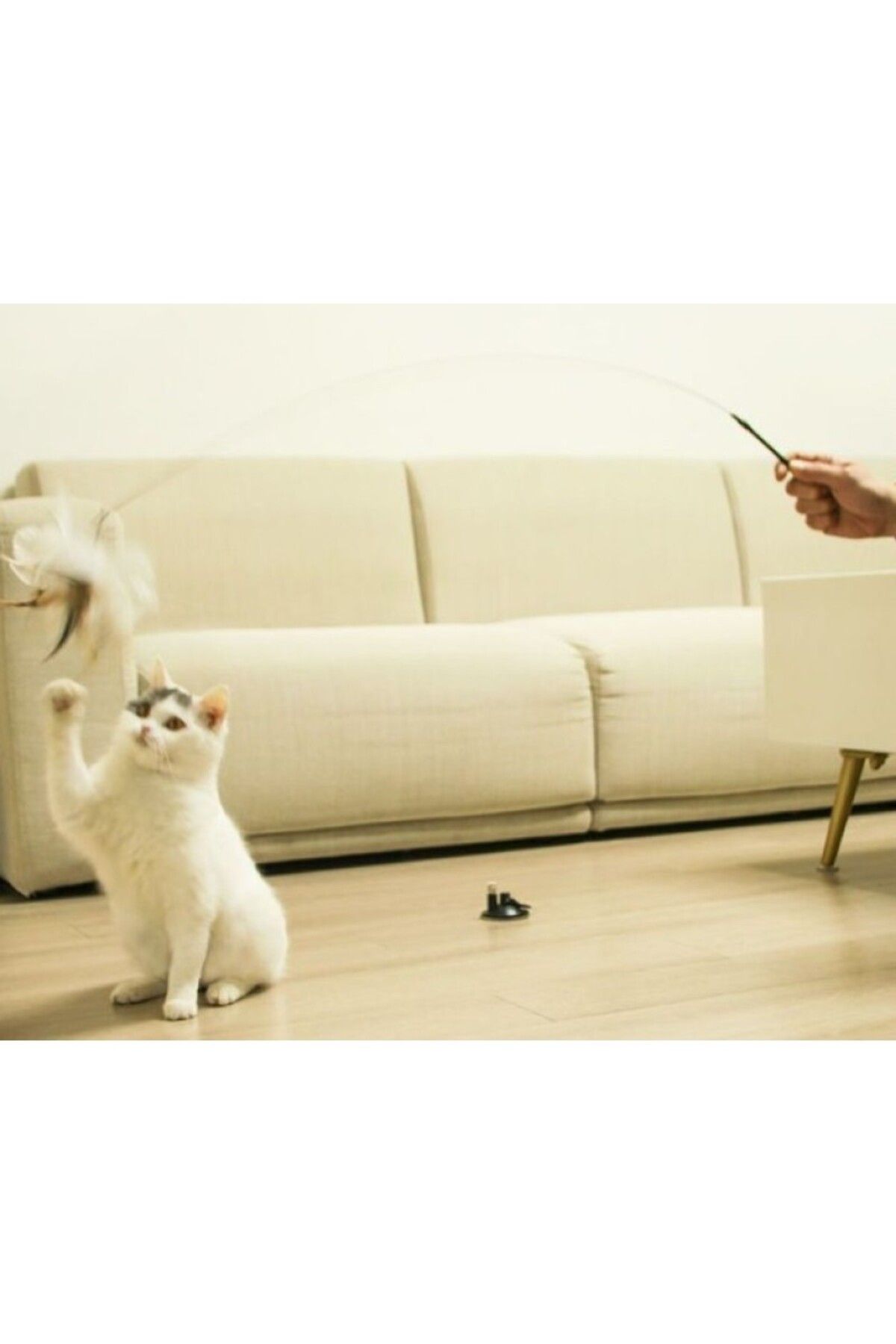 caterpie Kedi Olta Oyuncak Vantuzlu Tüylü Zilli Kedi Oyun Oltası