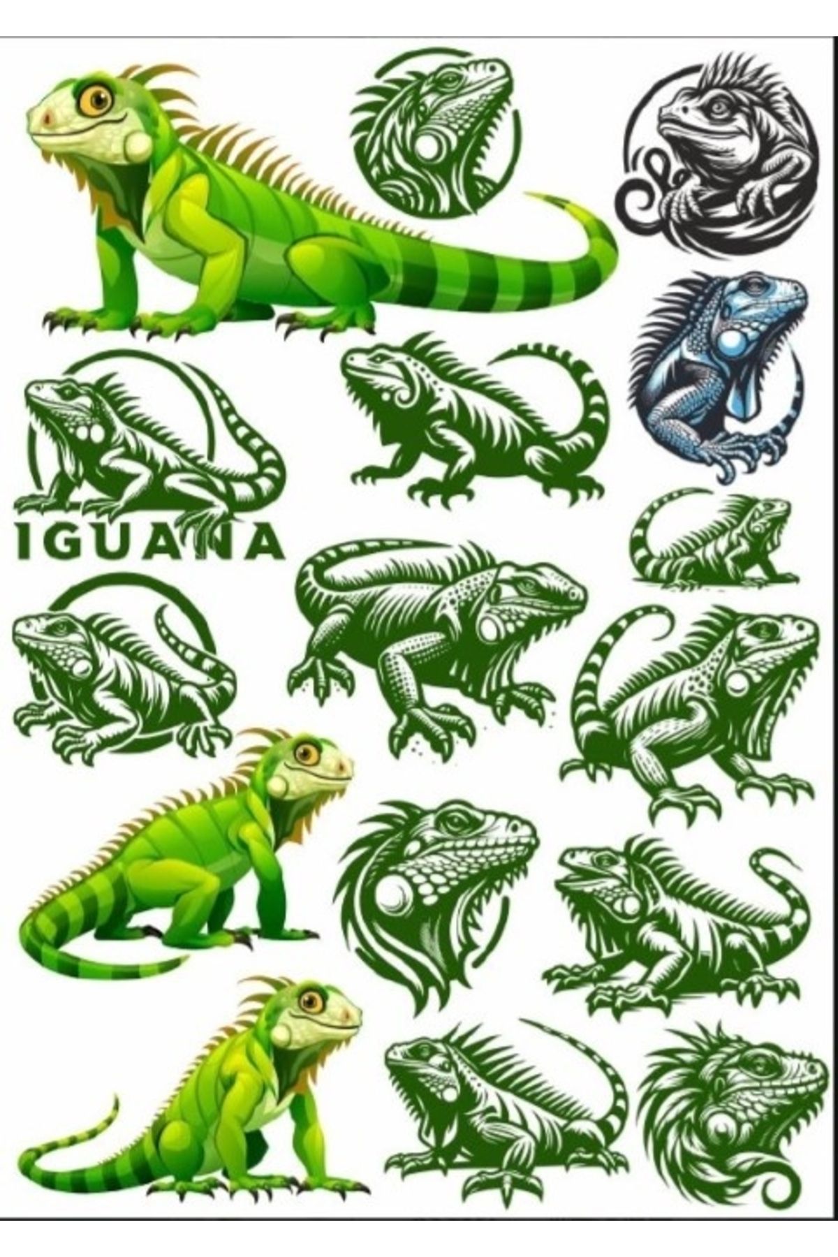 Reysa Tasarım İguana Sticker Set