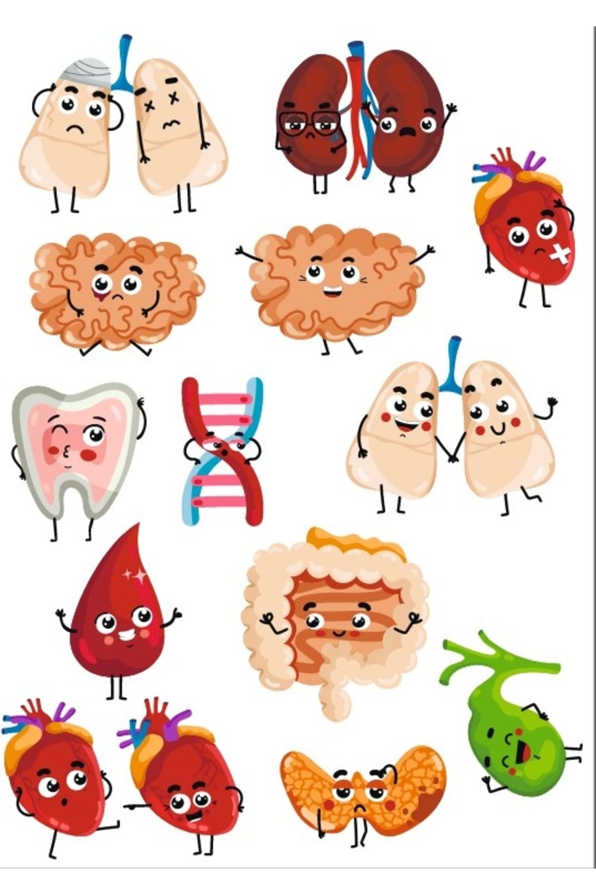 Reysa Tasarım Sevimli Organlar Sticker SEt