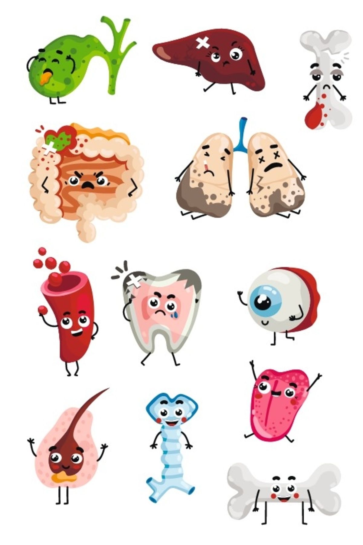 Reysa Tasarım Sevimli Organlar Sticker SEt