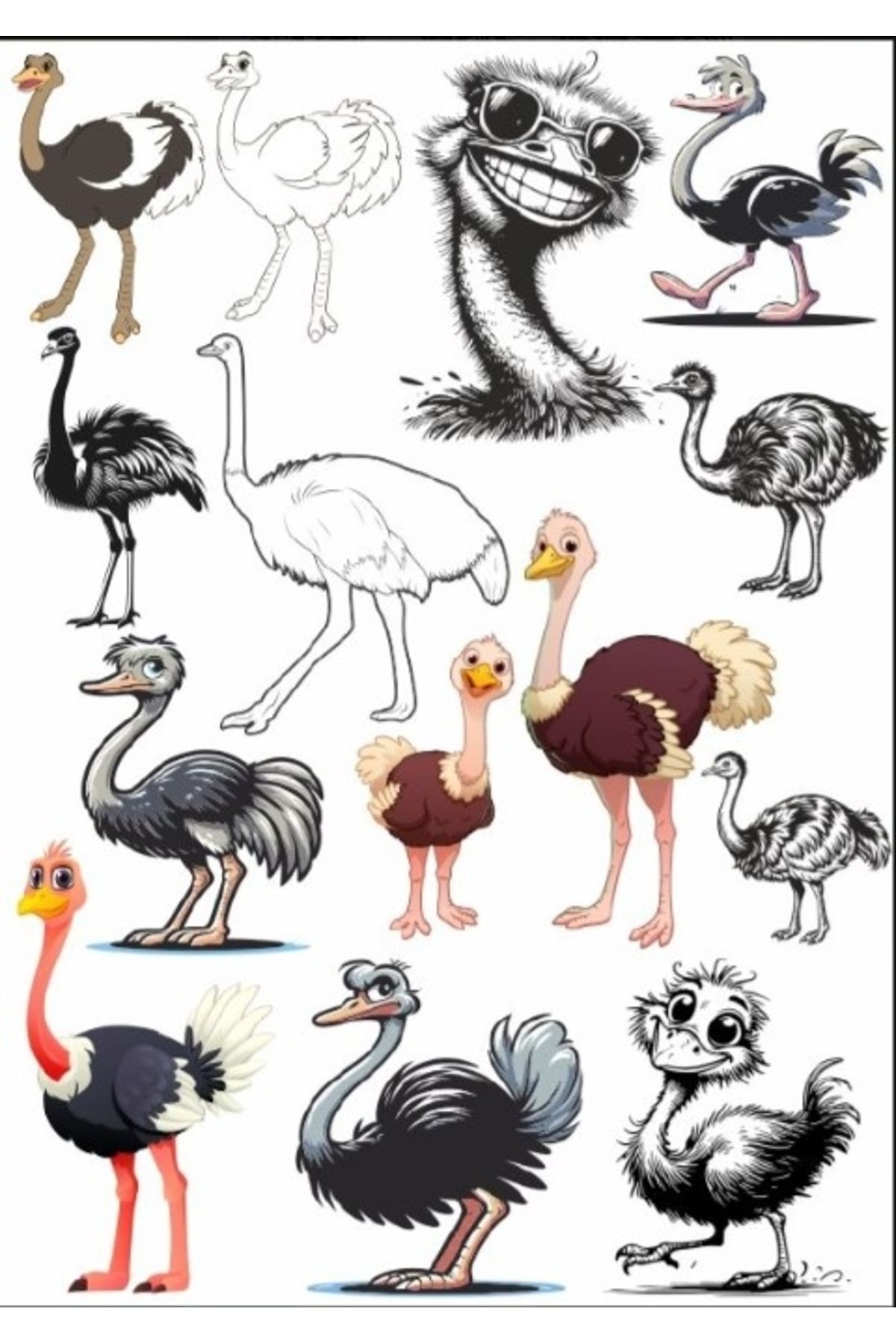 Reysa Tasarım Deve Kuşu Sticker Set
