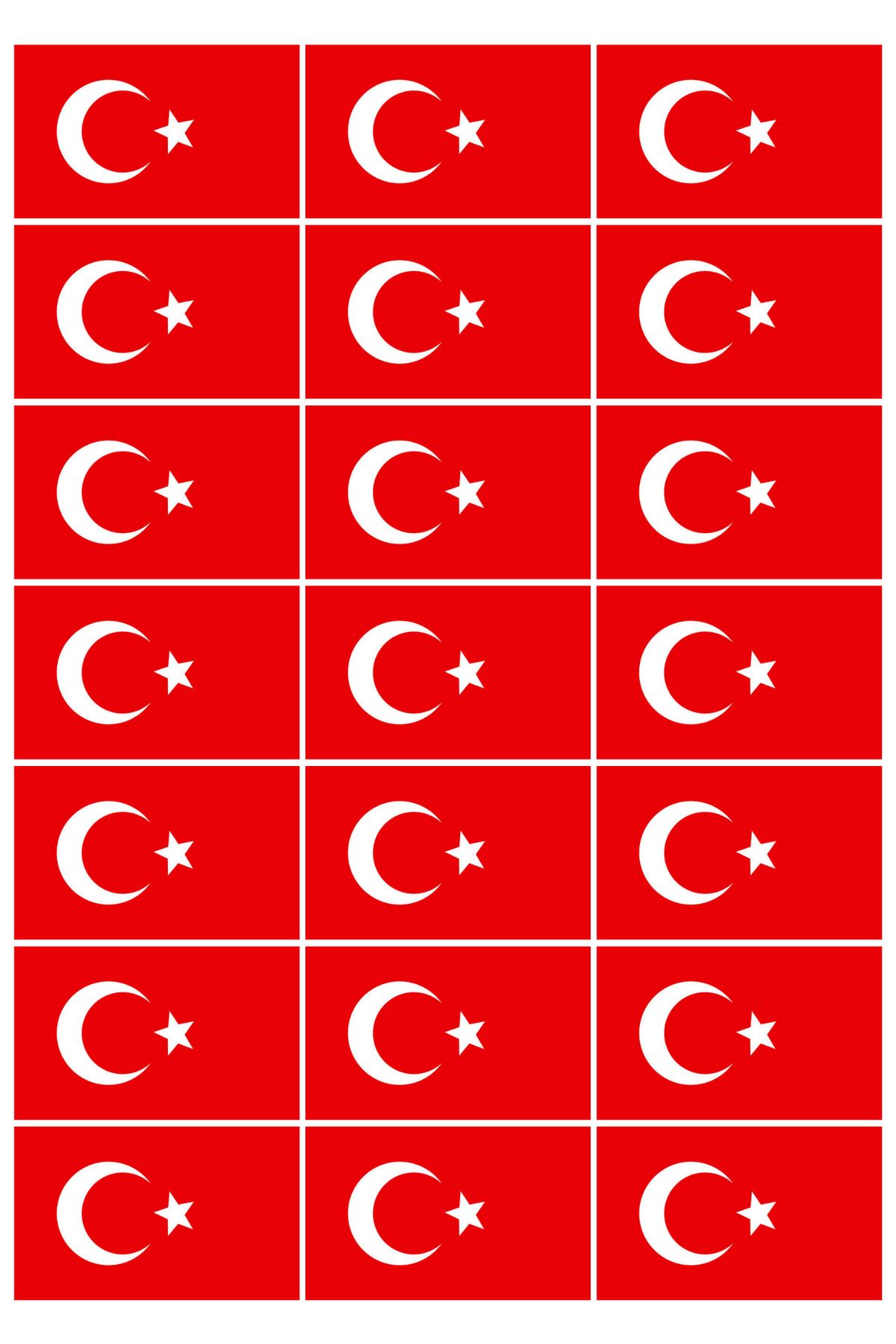 Organik Yolda 21 Adet Türk Bayrağı, Çıkartma, Kes ve Yapıştır.