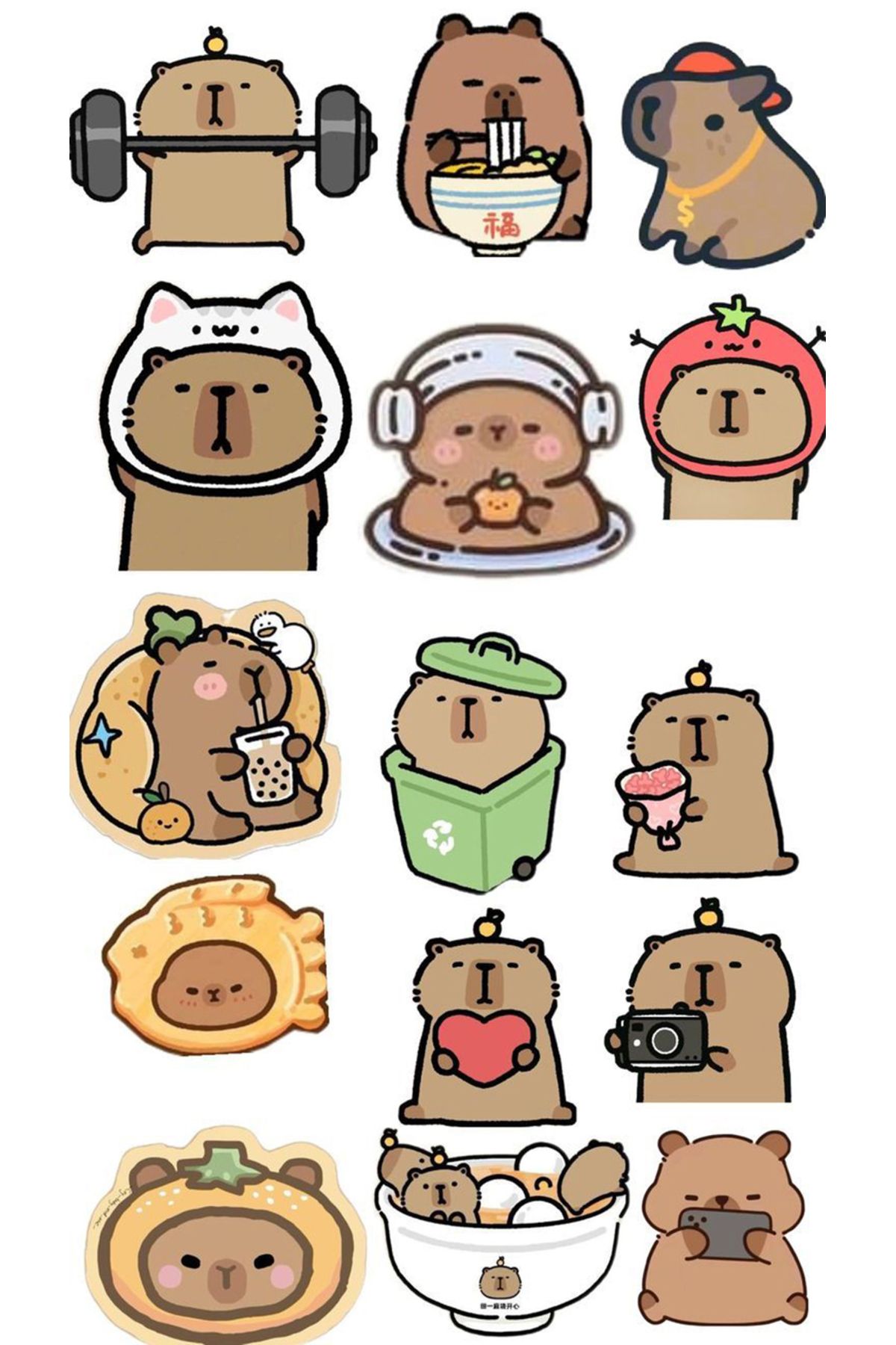 BK Design Capybara Sticker Telefon Laptop Notebook Tablet Defter Matara Stiker Etiket ST1684