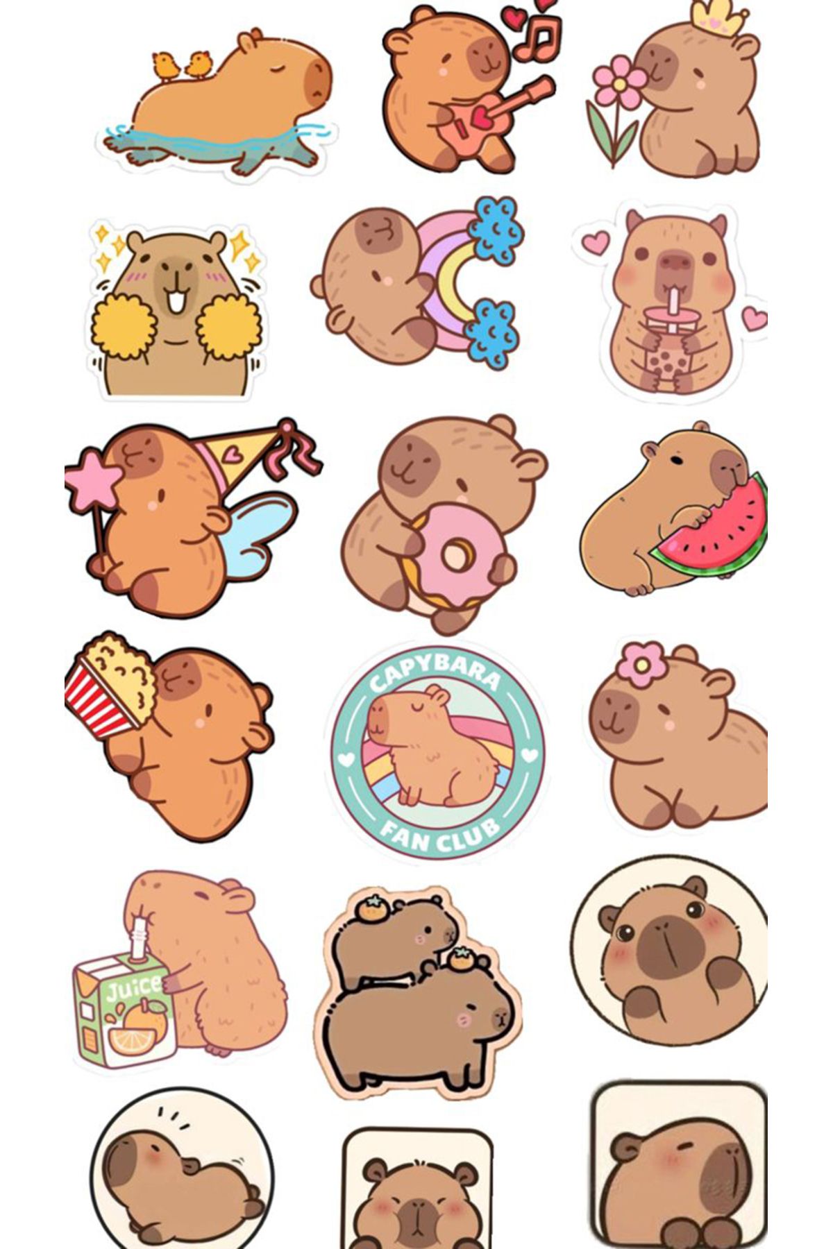 BK Design Capybara Sticker Telefon Laptop Notebook Tablet Defter Matara Stiker Etiket ST1776