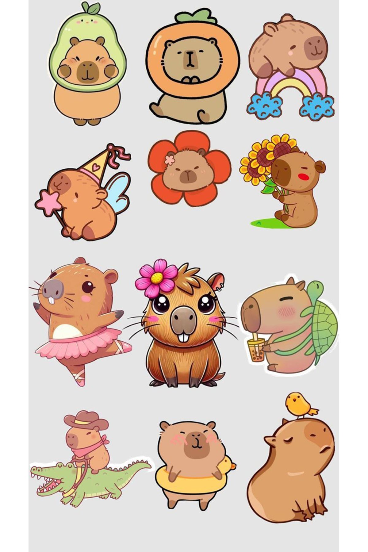 BK Design Capybara Sticker Telefon Laptop Notebook Tablet Defter Matara Stiker Etiket ST1658