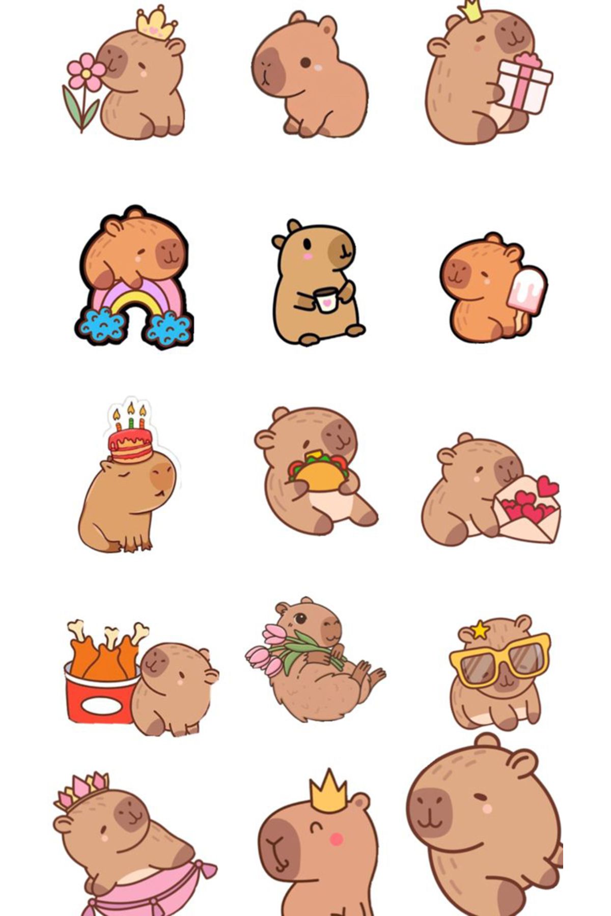 BK Design Capybara Sticker Telefon Laptop Notebook Tablet Defter Matara Stiker Etiket ST1699