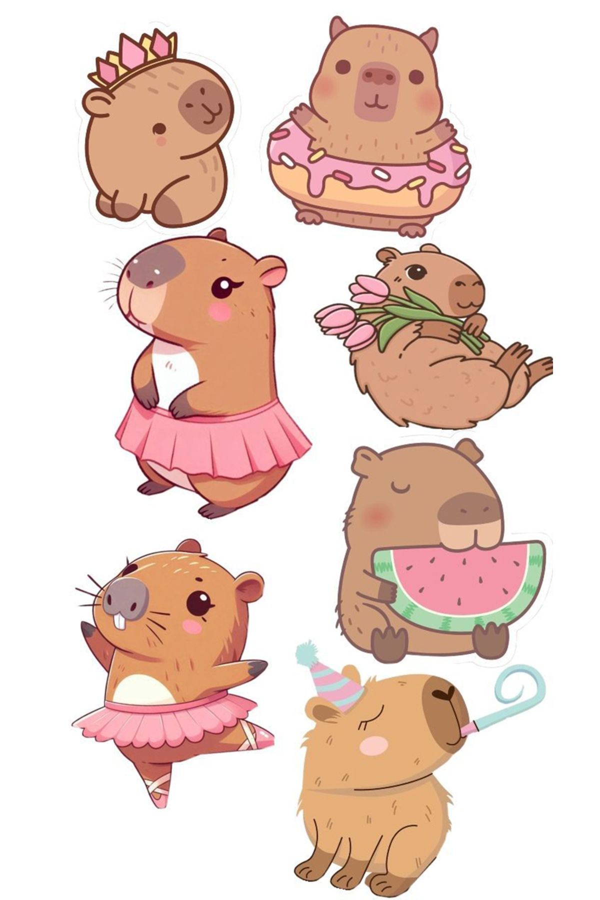 BK Design Capybara Sticker Telefon Laptop Notebook Tablet Defter Matara Stiker Etiket ST1779