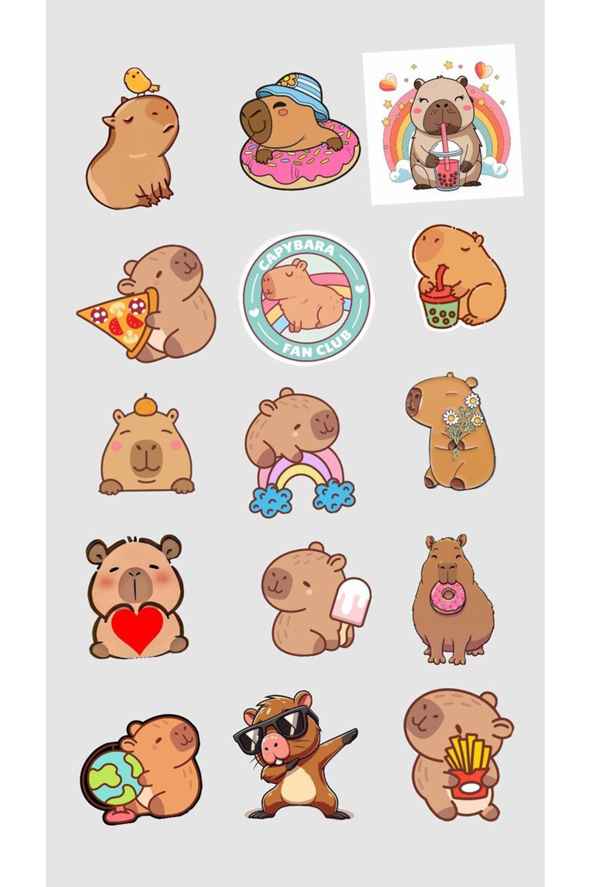 BK Design Capibara Sticker Telefon Laptop Notebook Tablet Defter Matara Stiker Etiket ST1744