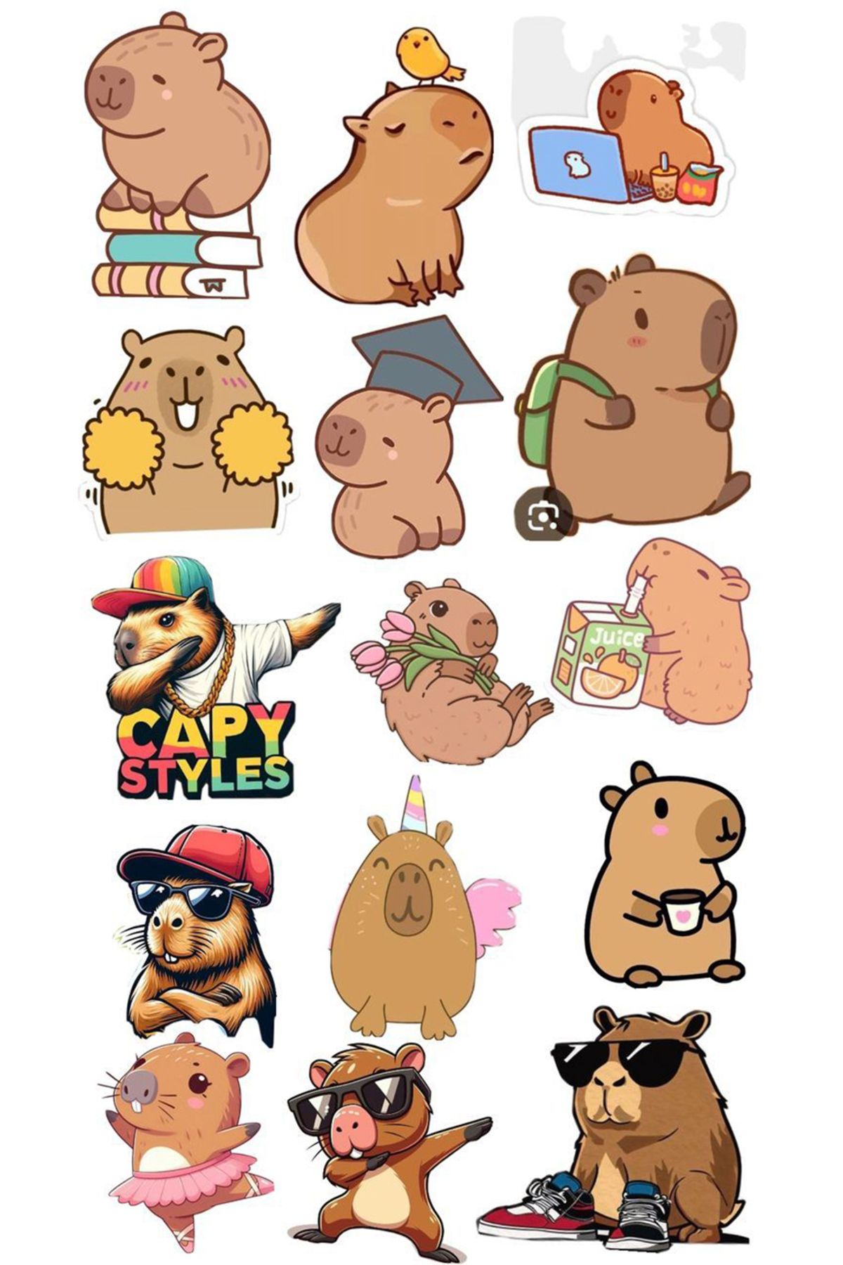 BK Design Capibara Sticker Telefon Laptop Notebook Tablet Defter Matara Stiker Etiket ST1758