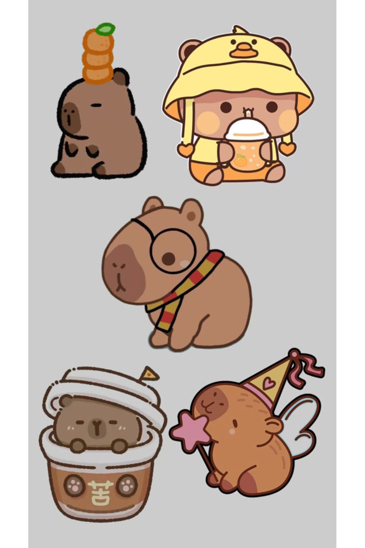 BK Design Capybara Sticker Telefon Laptop Notebook Tablet Defter Matara Stiker Etiket ST1733