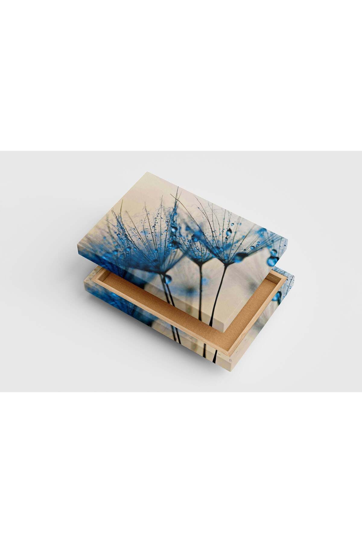 Wallivo flower motif, blue water drops, art, kanvas tablo