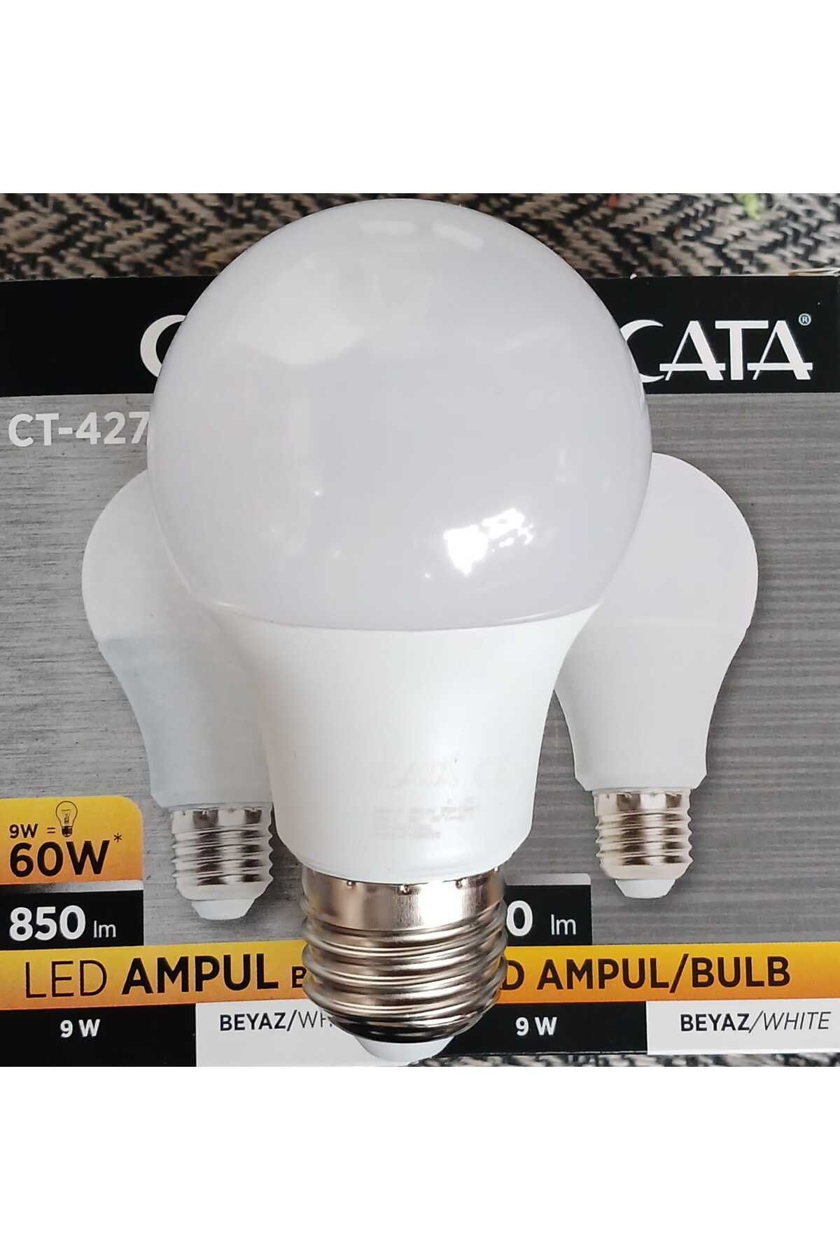 Cata AMPUL