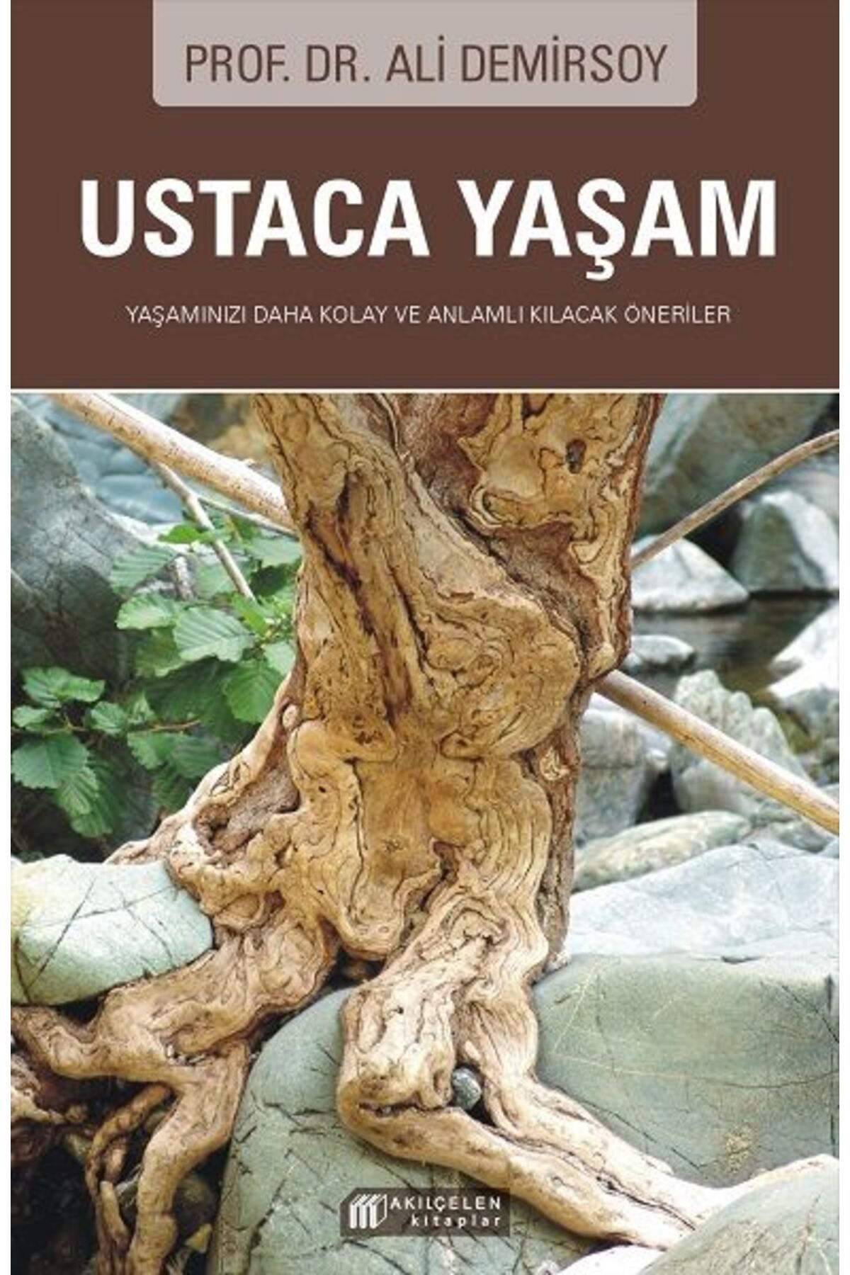 Destek Yayınları Ustaca Yaşam
