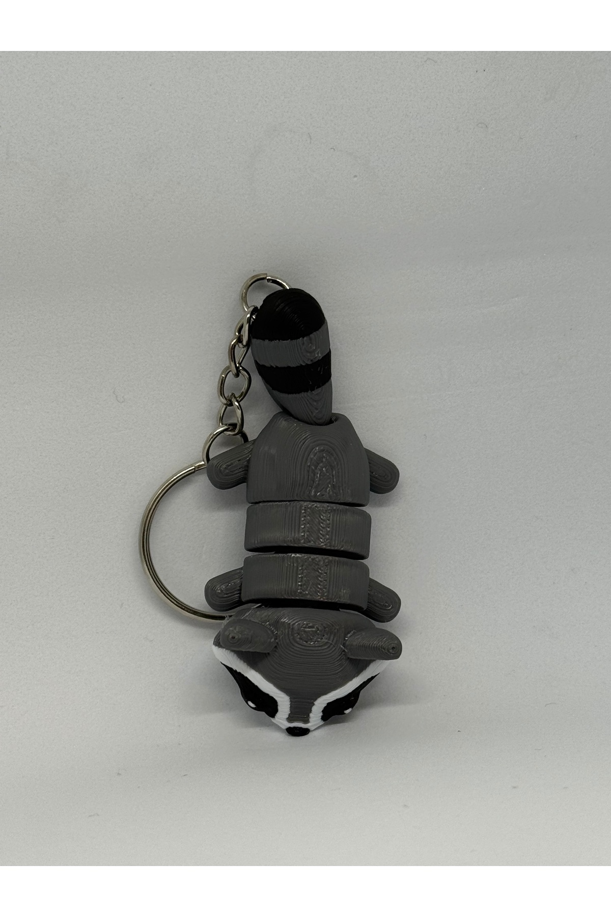 3dyonix-Cute Raccoon Keychain – 3D Printing 2