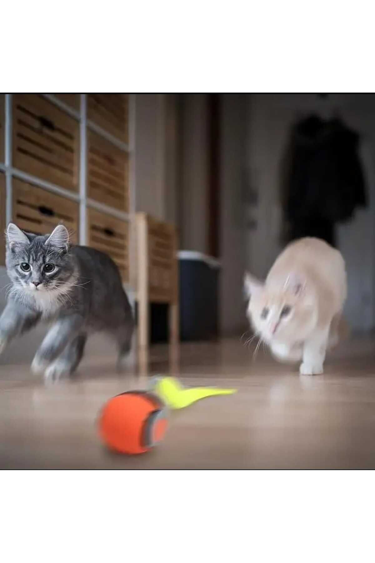 Mıncır Shop İnteraktif Etkileşimli Akıllı Kedi Topu Oyuncağı