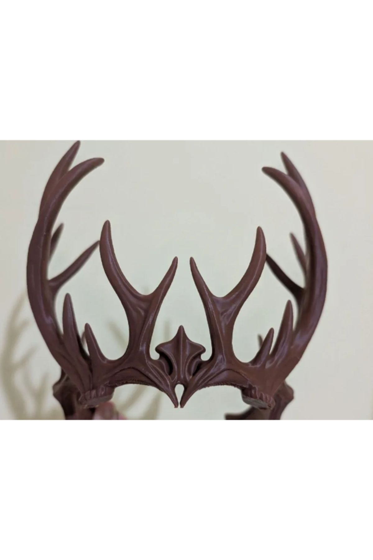 3d model s Regnum Silvae – Vahşi Orman Tacı