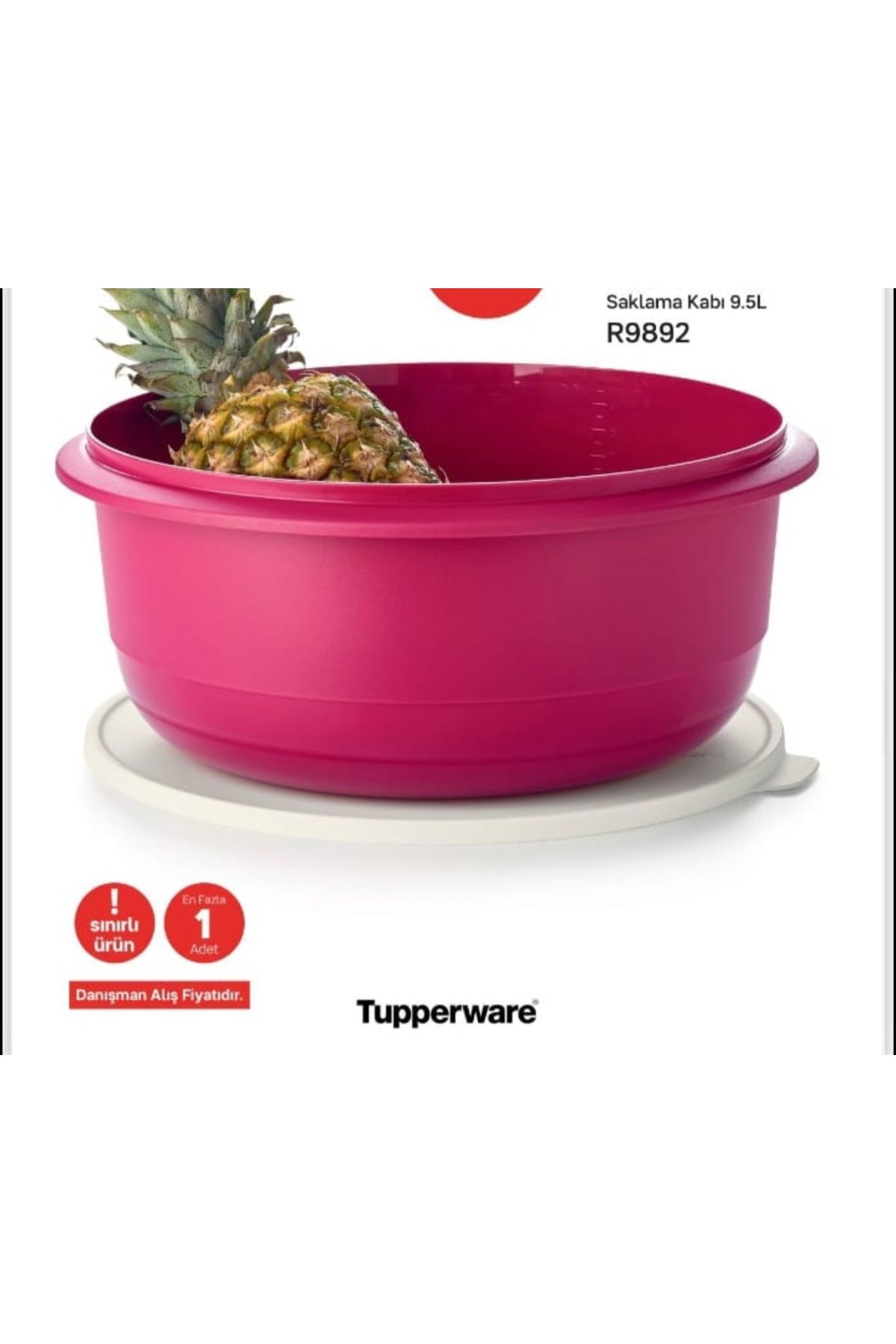 Tupperware Miksim 9.5 LT.