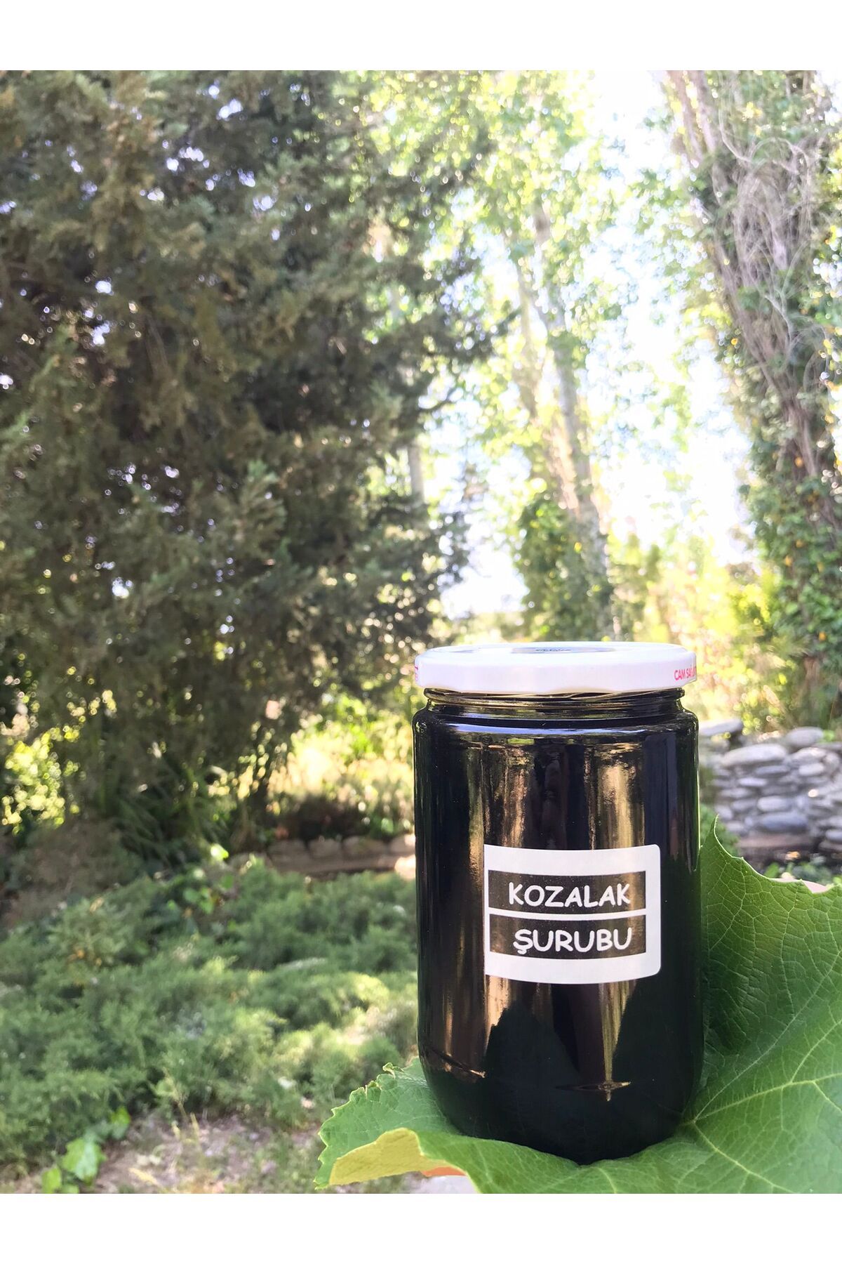 Zeytinli Keçi Çiftliği Kazdağlarından Katkısız Çam Kozalak Şurubu 850 gr