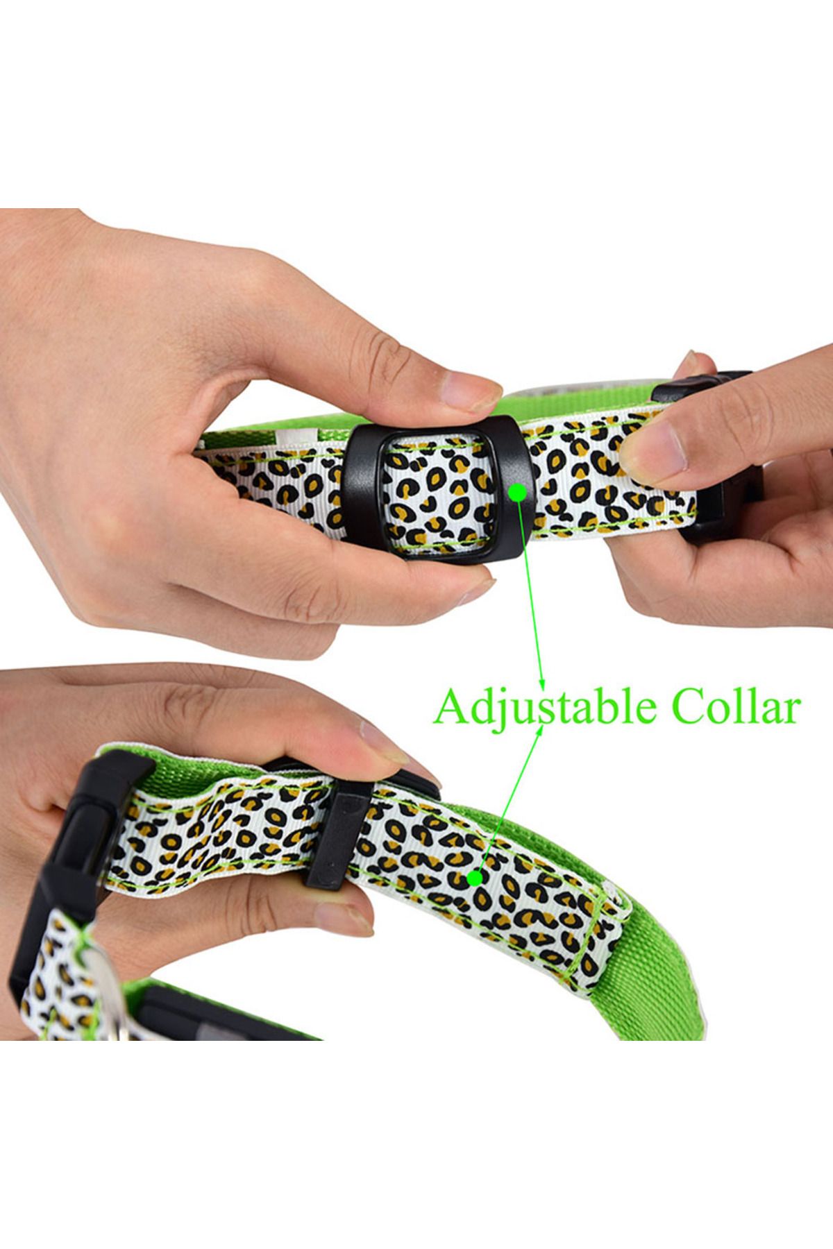 zola-Dog/cat collar, with LED, size M, white/green 5