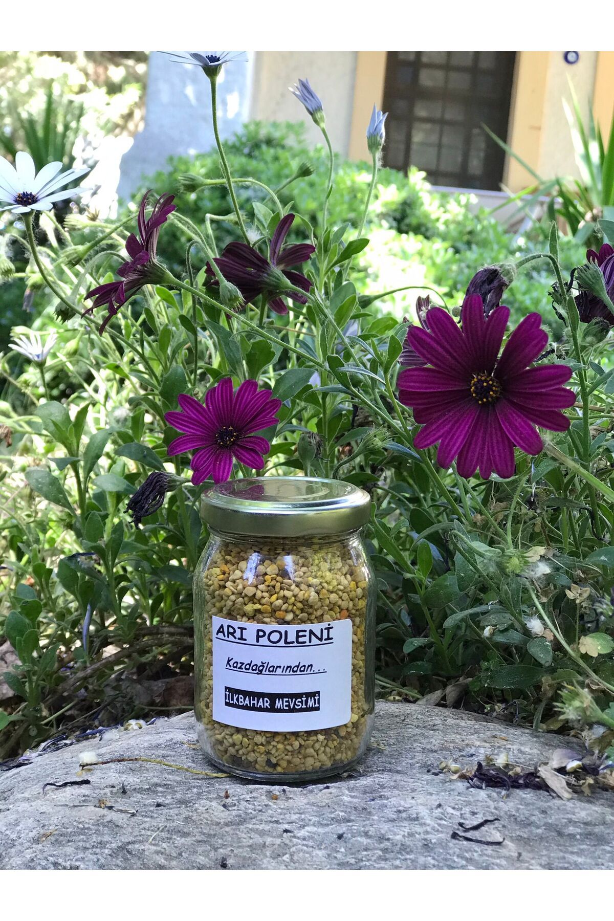 Zeytinli Keçi Çiftliği Kazdağlarından Doğal Arı Poleni (Kuru) Dried Bee Pollen 100 gr