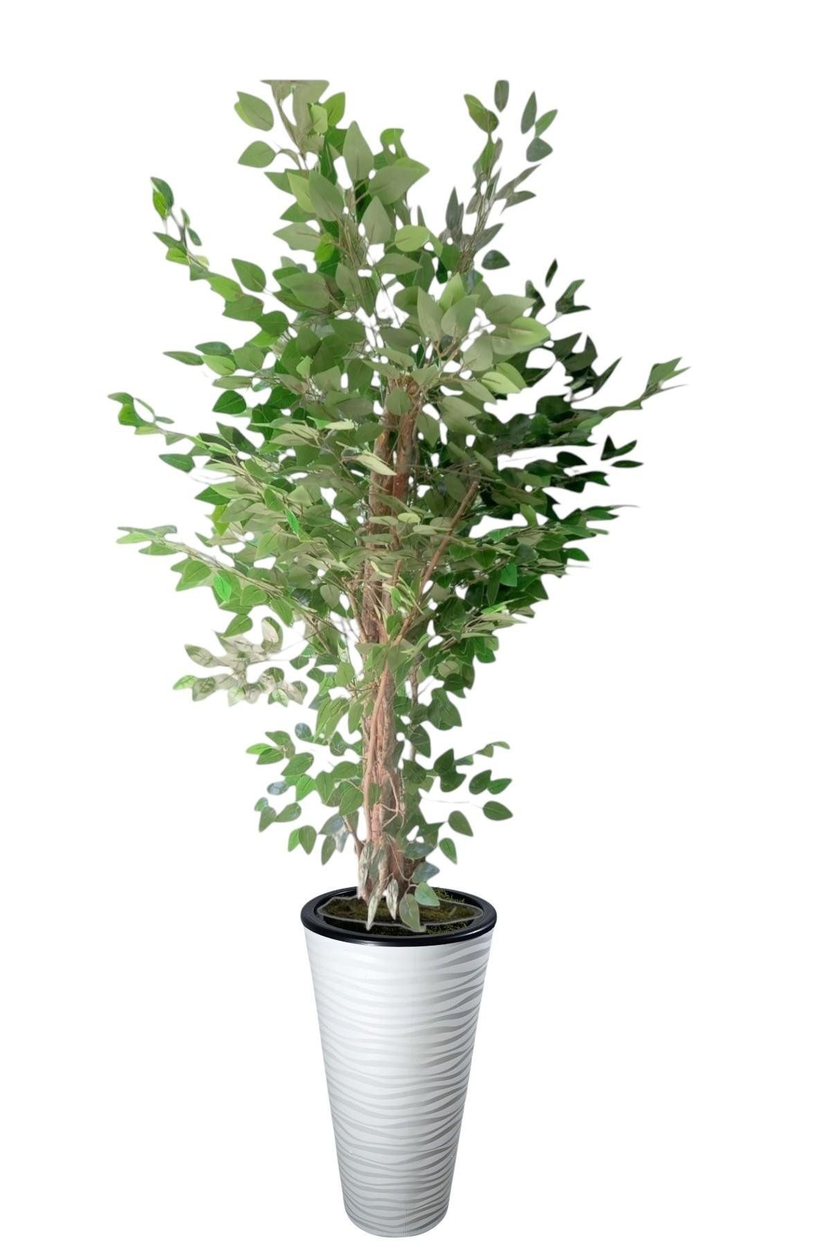 florayapaycicekcom Yapay Agaç 180 Cm Islak Doku Benjamin kumsal saksı