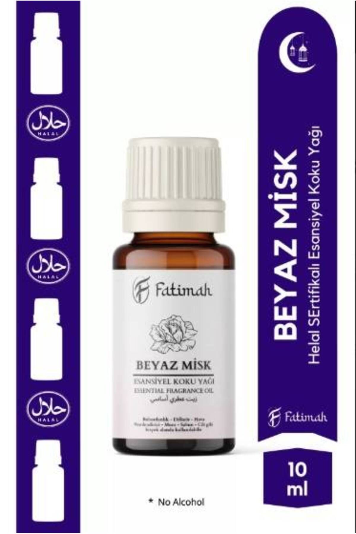 NESAFET FTMH10ML5
