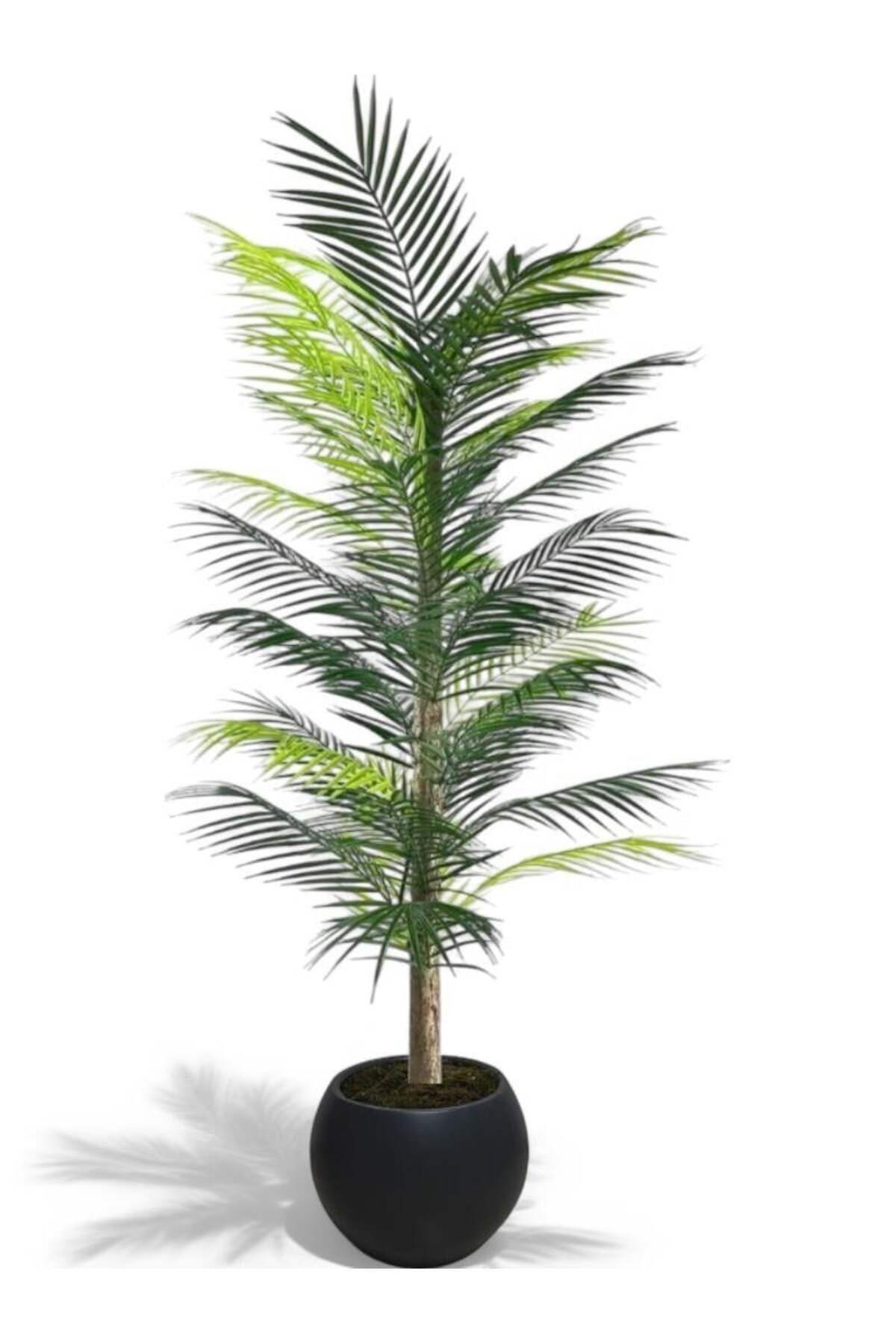 florayapaycicekcom 160 cm yapay palmiye arekası 36 yaprak küre saksı
