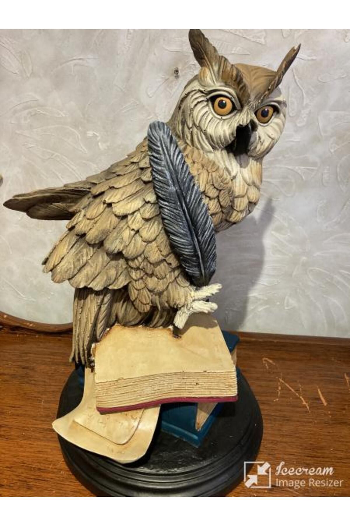 wowocraft Kitaplı Baykuş Dekoratif Biblo